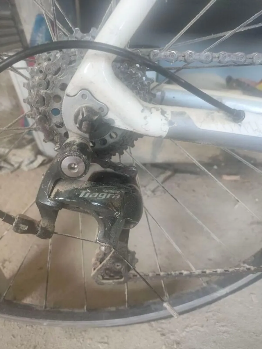 2 road bikes - Image 4