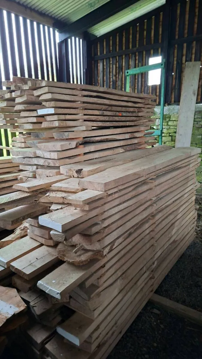 Dried hardwood - Image 2