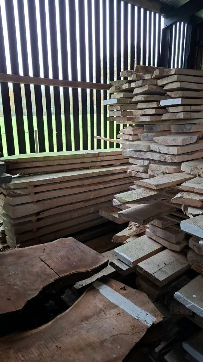 Dried hardwood - Image 3
