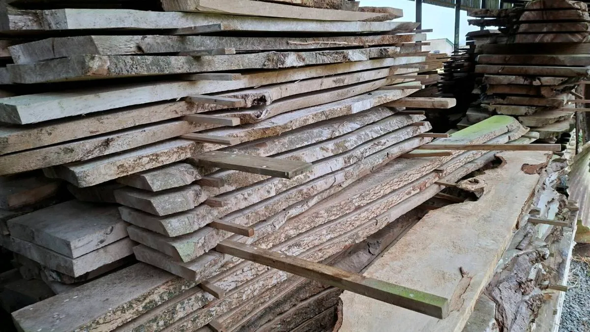 Dried hardwood - Image 4