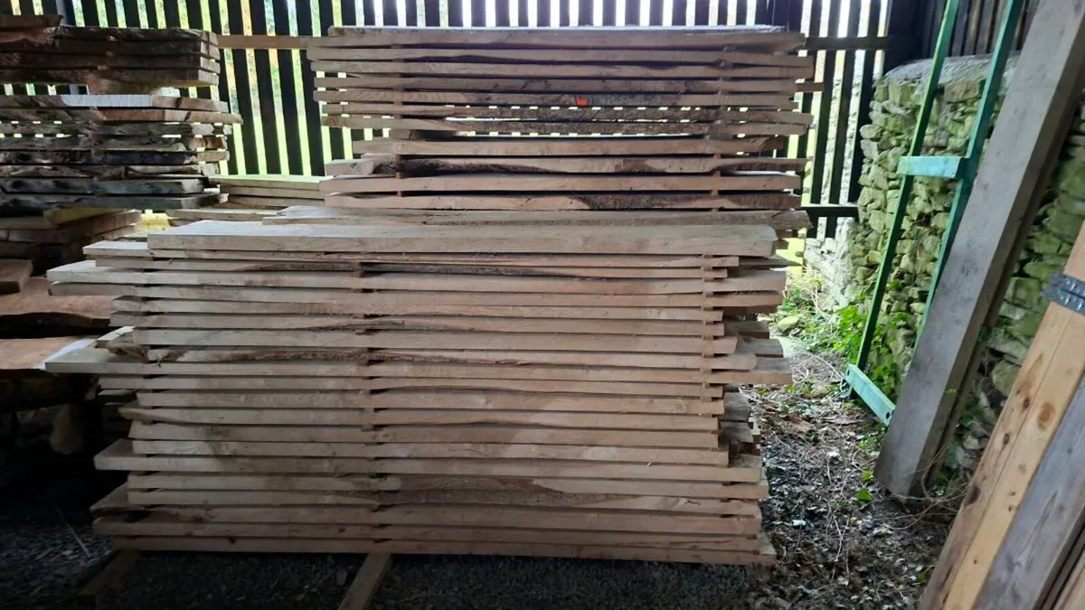 Dried hardwood - Image 1