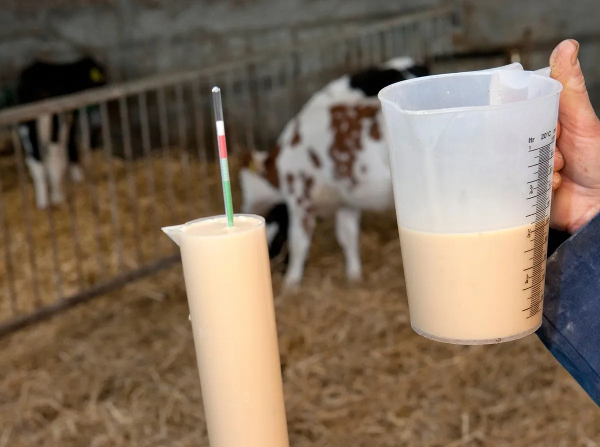 Colostrum