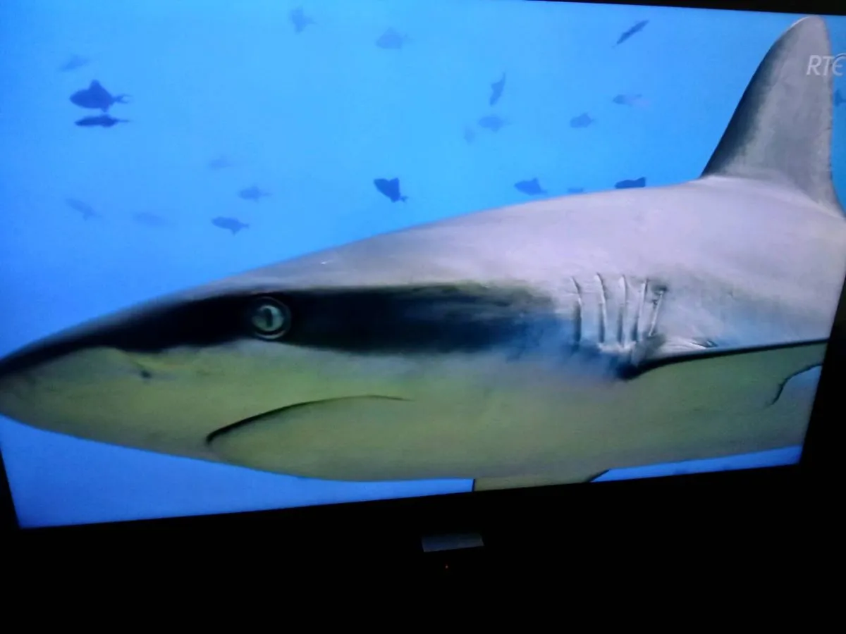 Samsung 40 inch Smart hdmi tv. - Image 4