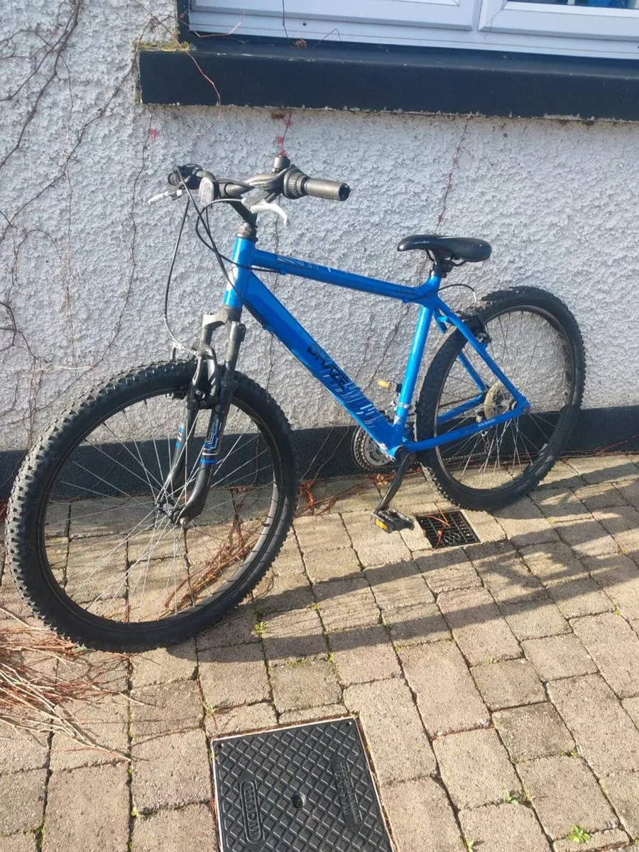 Bicycle - Image 2