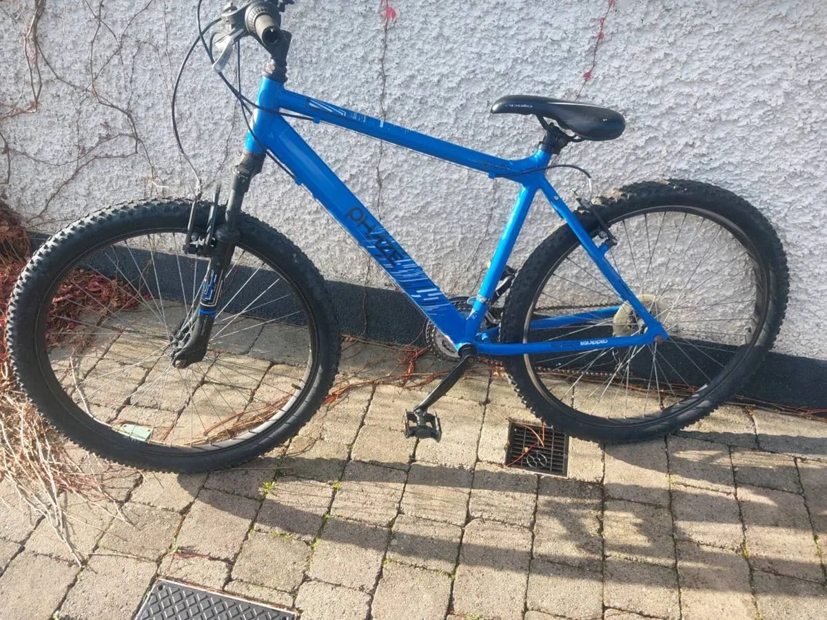 Bicycle - Image 3