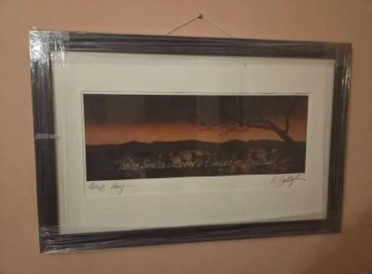 Robert Ballagh - Land and Language 2001 - Image 1