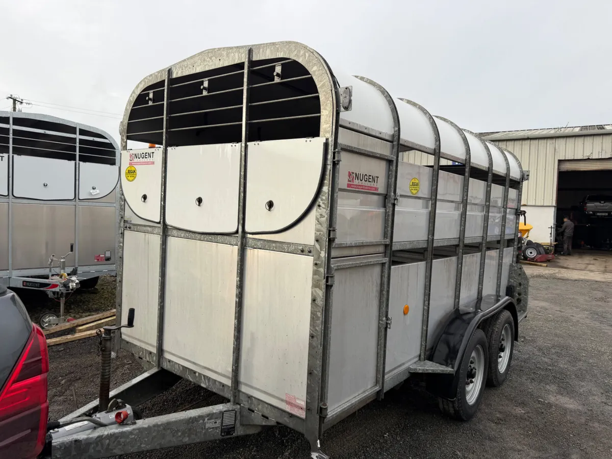 Nugent 12 x6 Cattle Trailer - Image 4