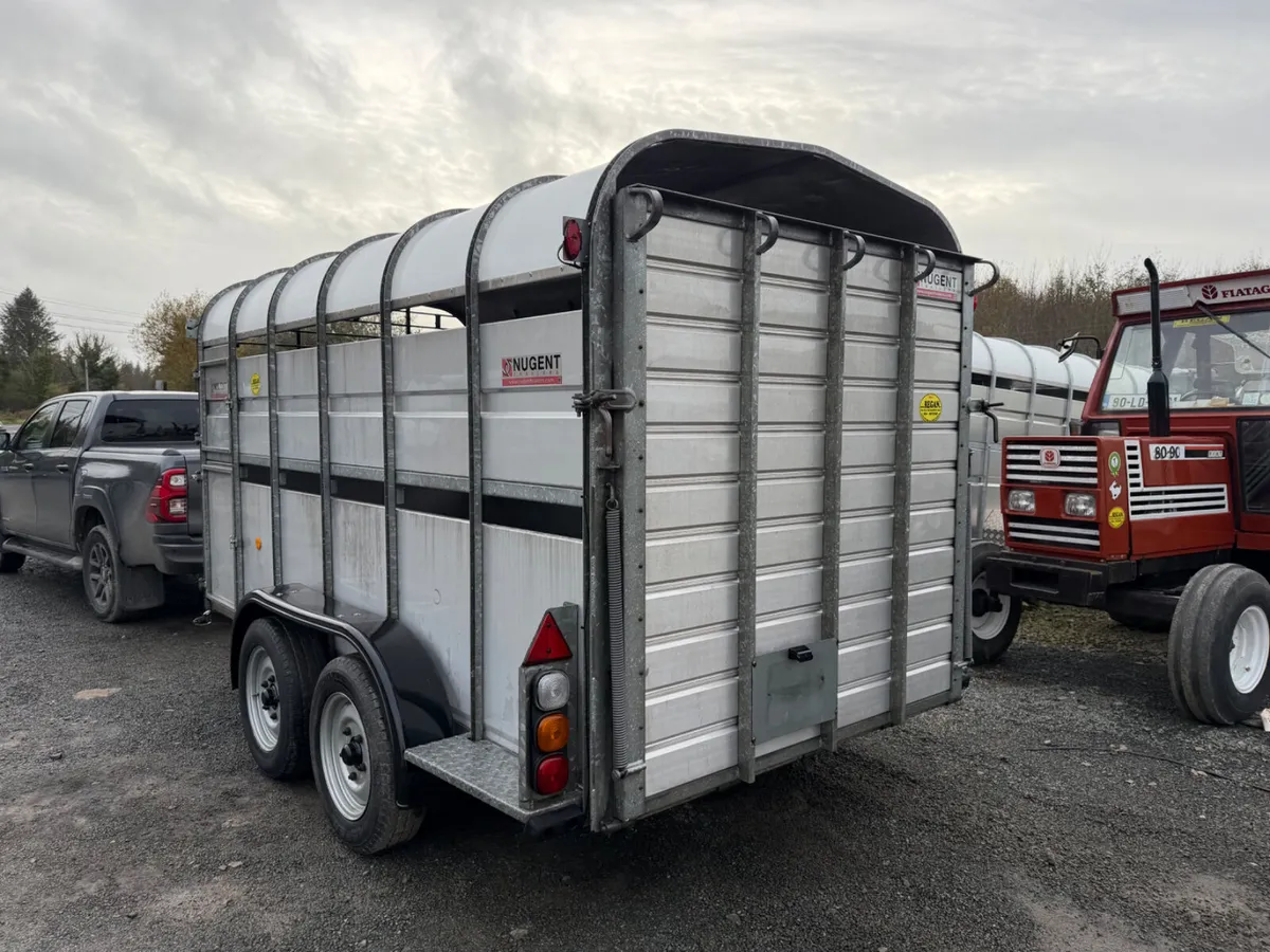 Nugent 12 x6 Cattle Trailer - Image 3
