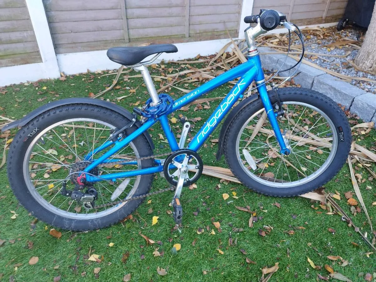 Ridgeback Dimension Mountain Bike - Image 1