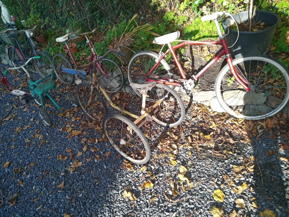 Vintage Bicycle collection - Image 4