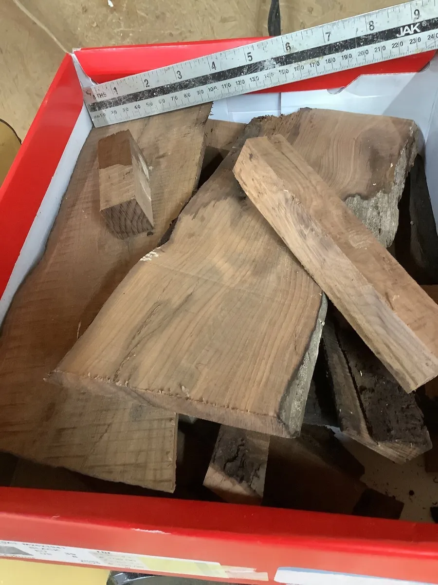 Bog oak and Bog Yew - Image 1