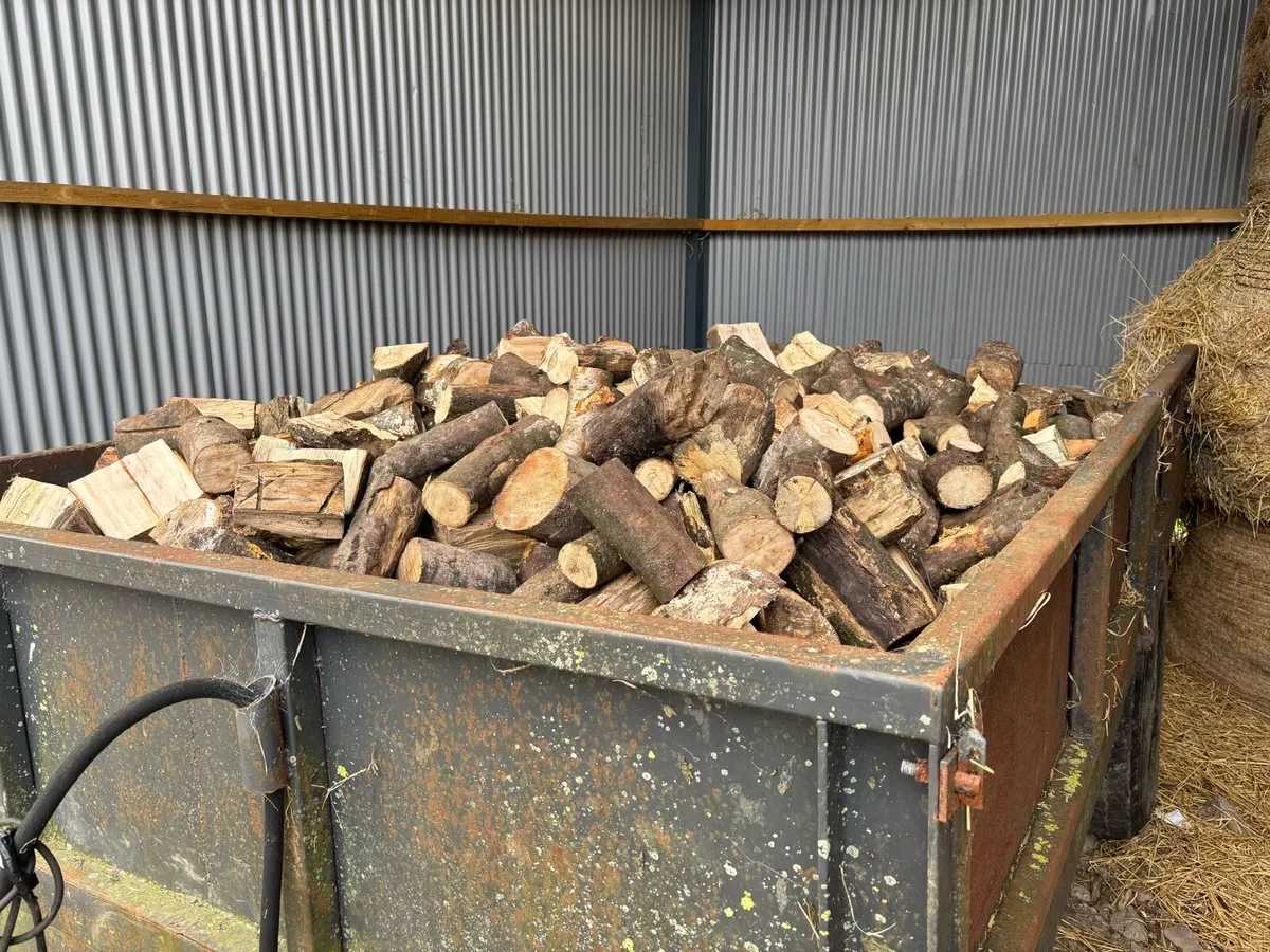 Firewood