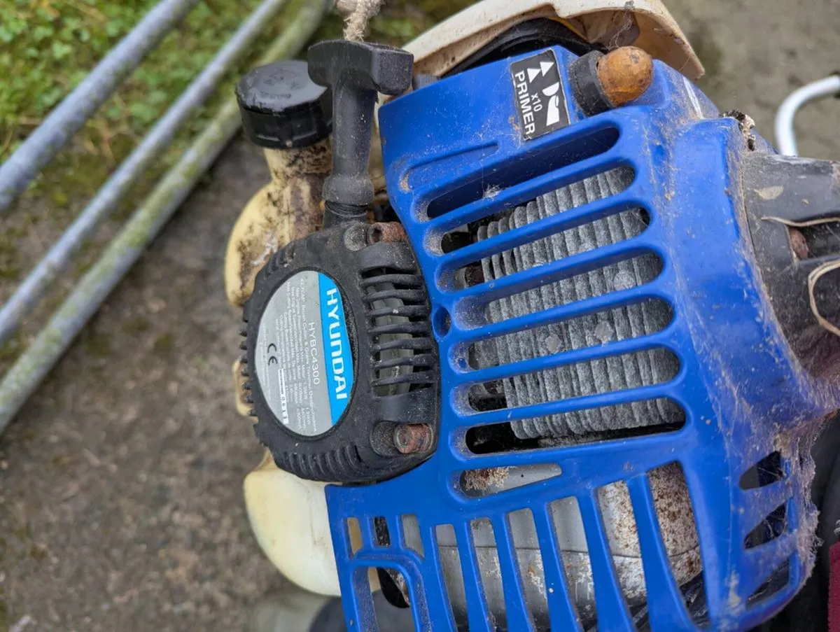 Hyundai Strimmer - Image 2