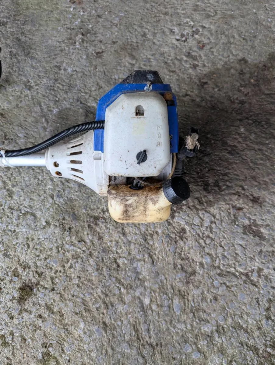 Hyundai Strimmer - Image 3