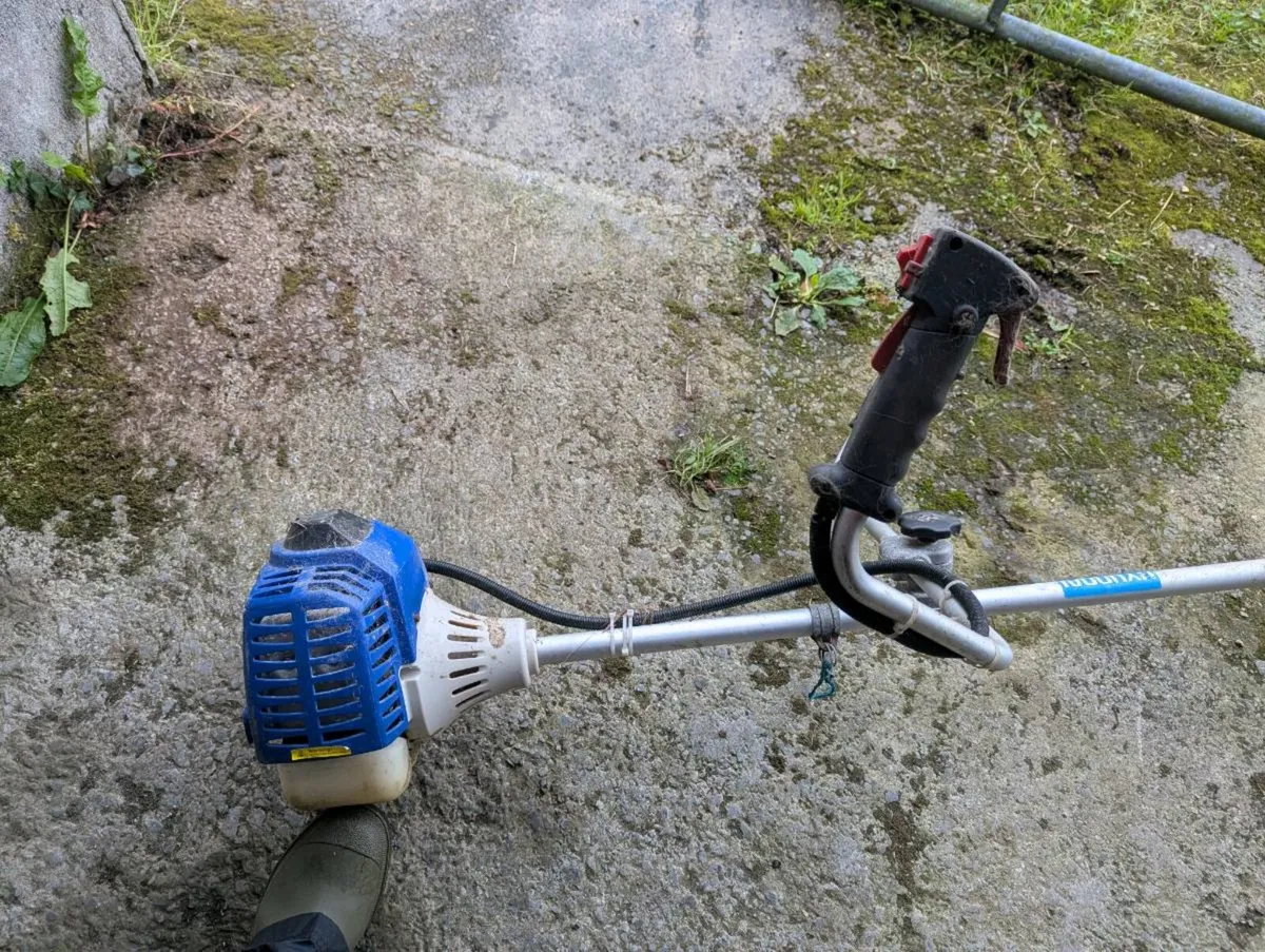 Hyundai Strimmer - Image 4