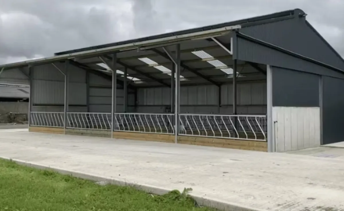 4 bay slatted shed to let for winter