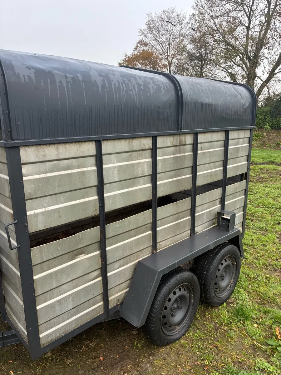 Cattle box - Image 3