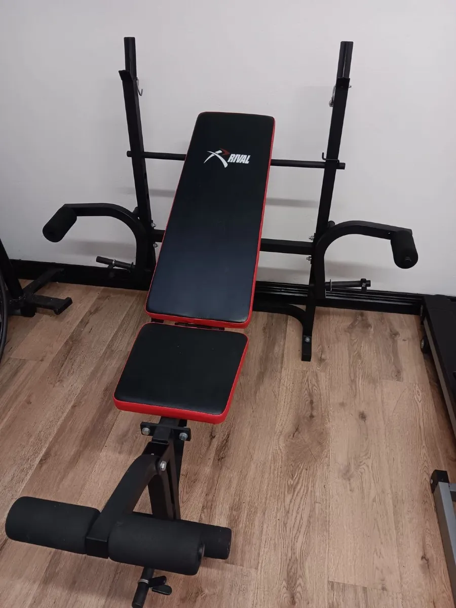 Gym workout bench and weights - Image 1