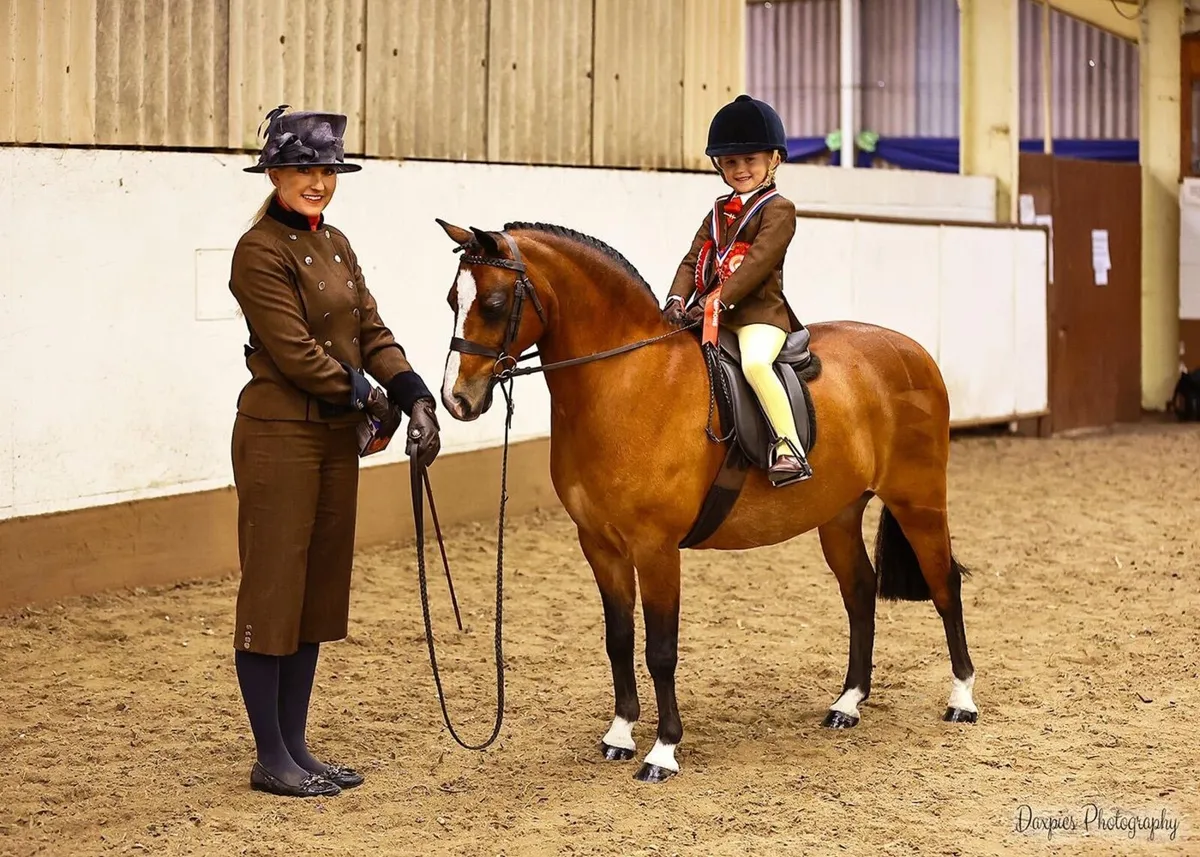 Top Class Lead Rein Show Hunter Pony - Image 1