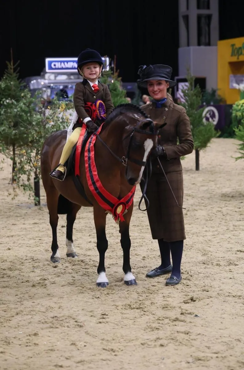 Top Class Lead Rein Show Hunter Pony - Image 2