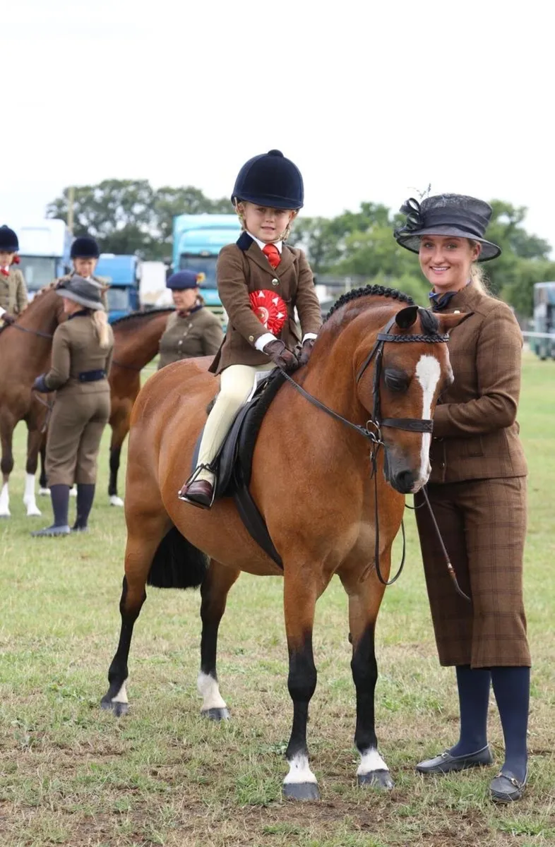 Top Class Lead Rein Show Hunter Pony - Image 3
