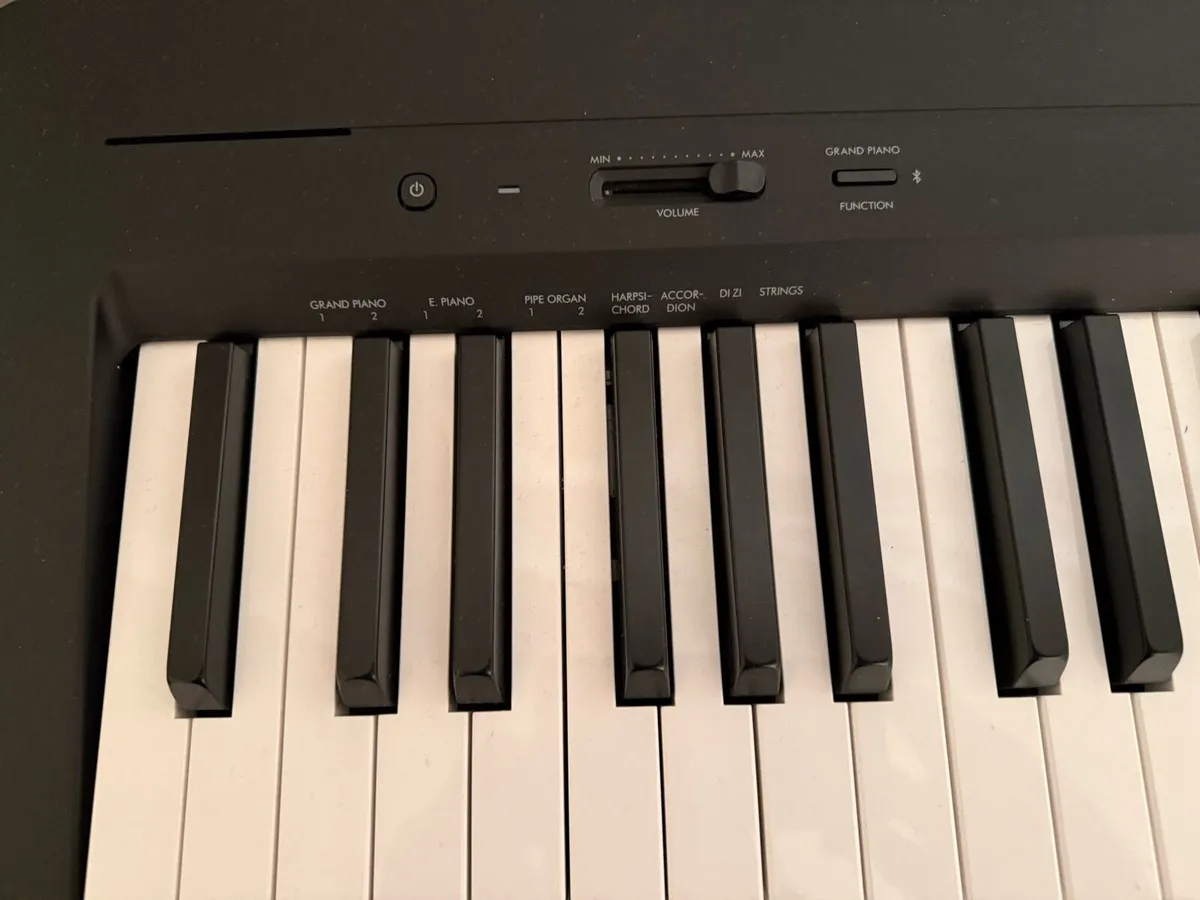 Digital Piano - Image 3