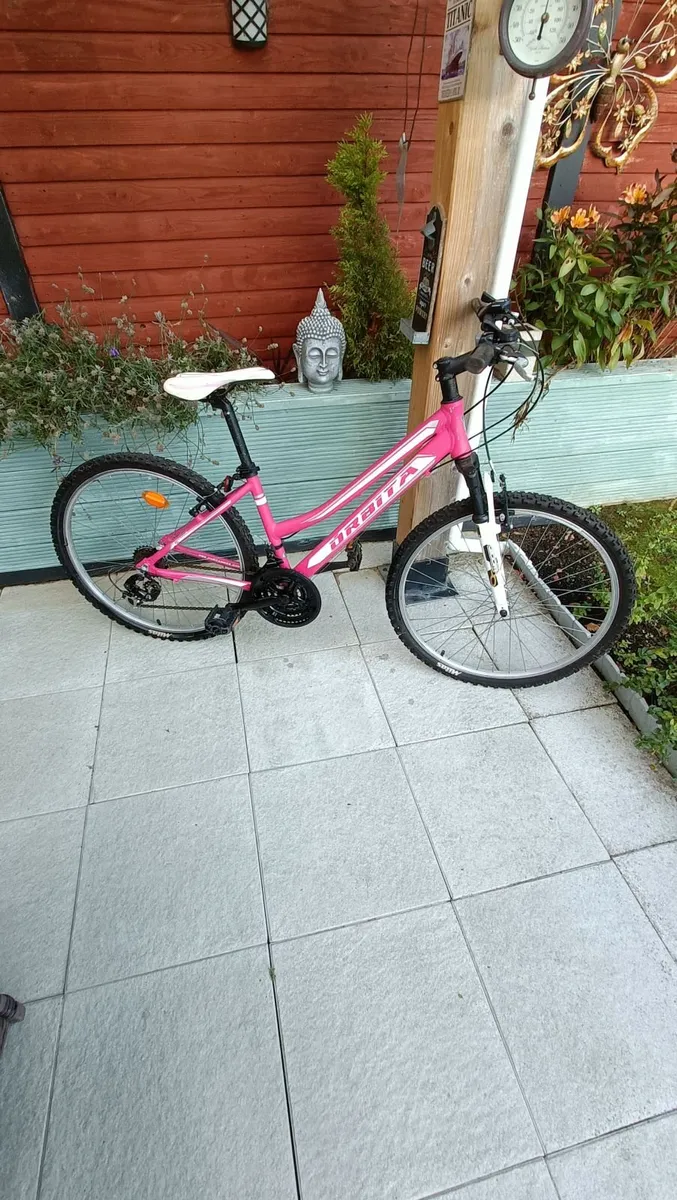 Mountain bikes - Image 2