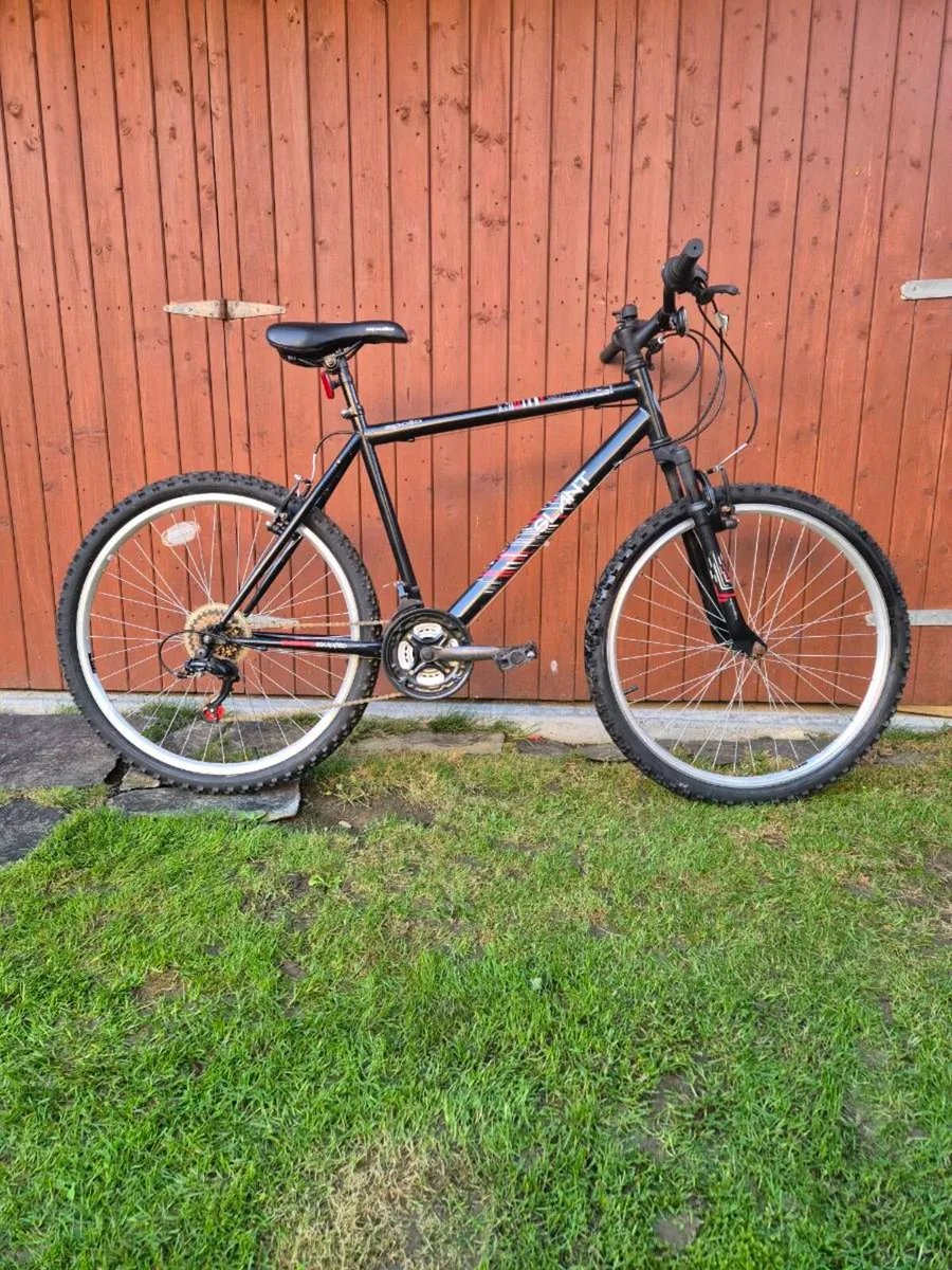 Apollo adult bicycle - Image 1