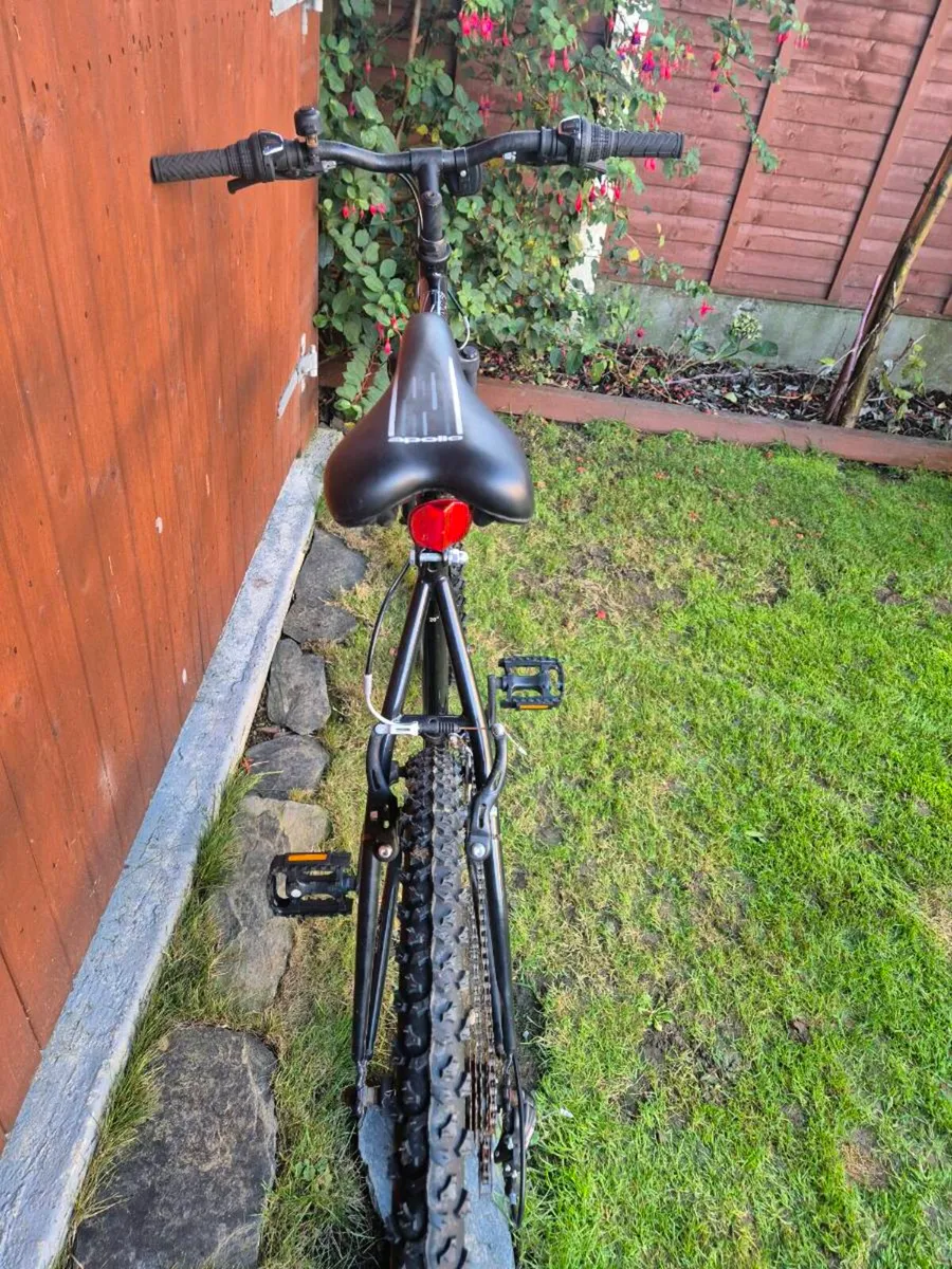 Apollo adult bicycle - Image 2