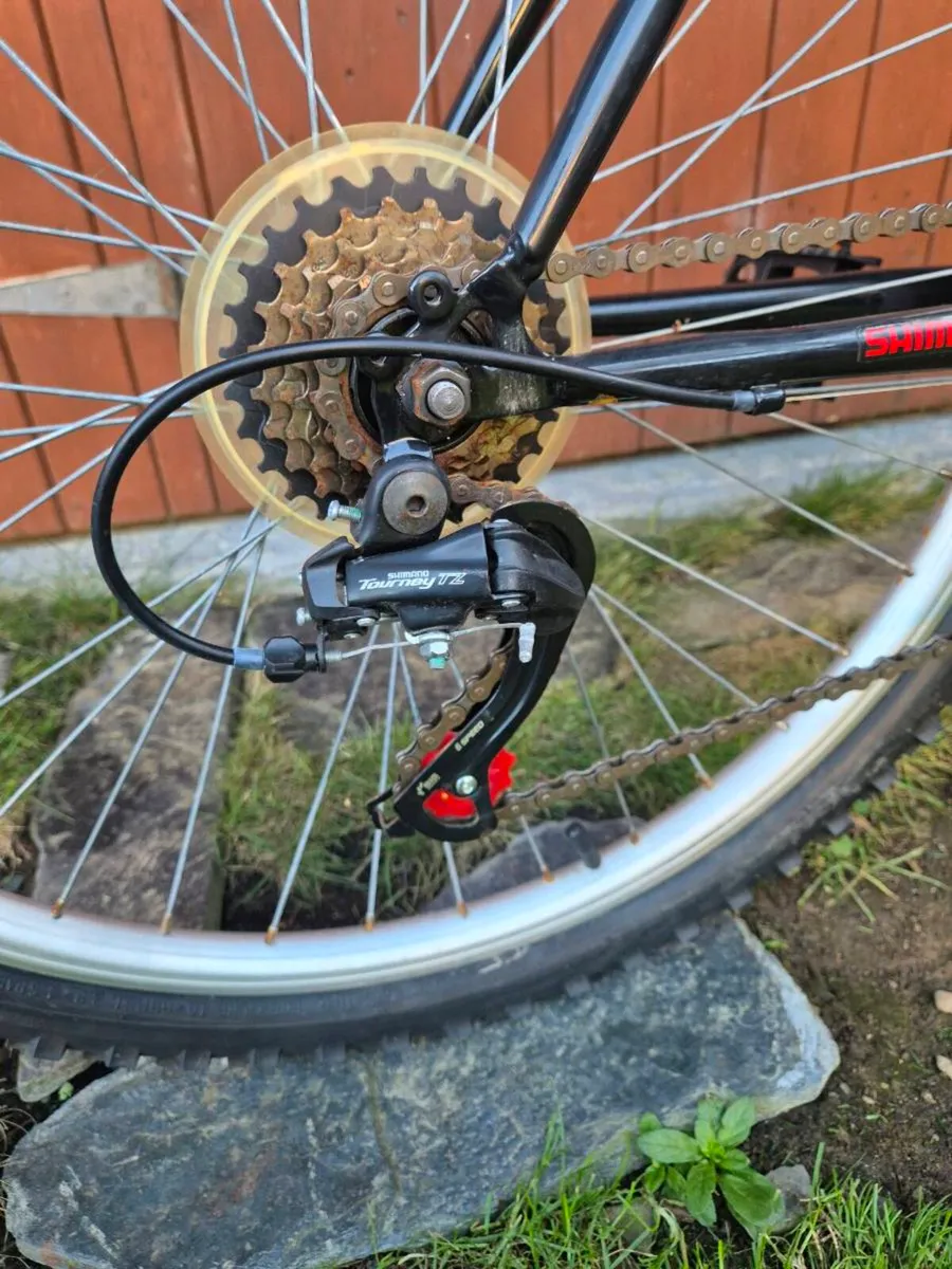 Apollo adult bicycle - Image 3