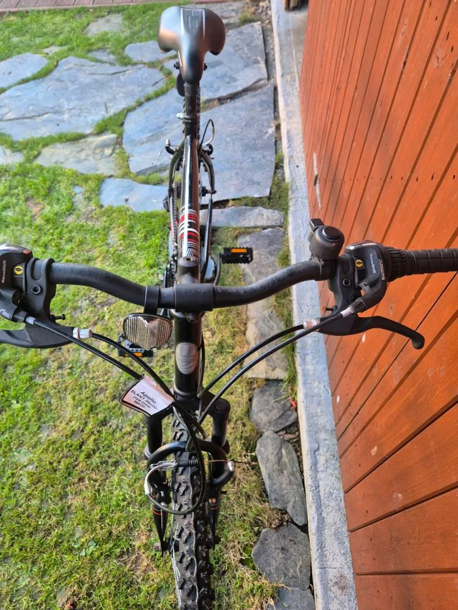 Apollo adult bicycle - Image 4