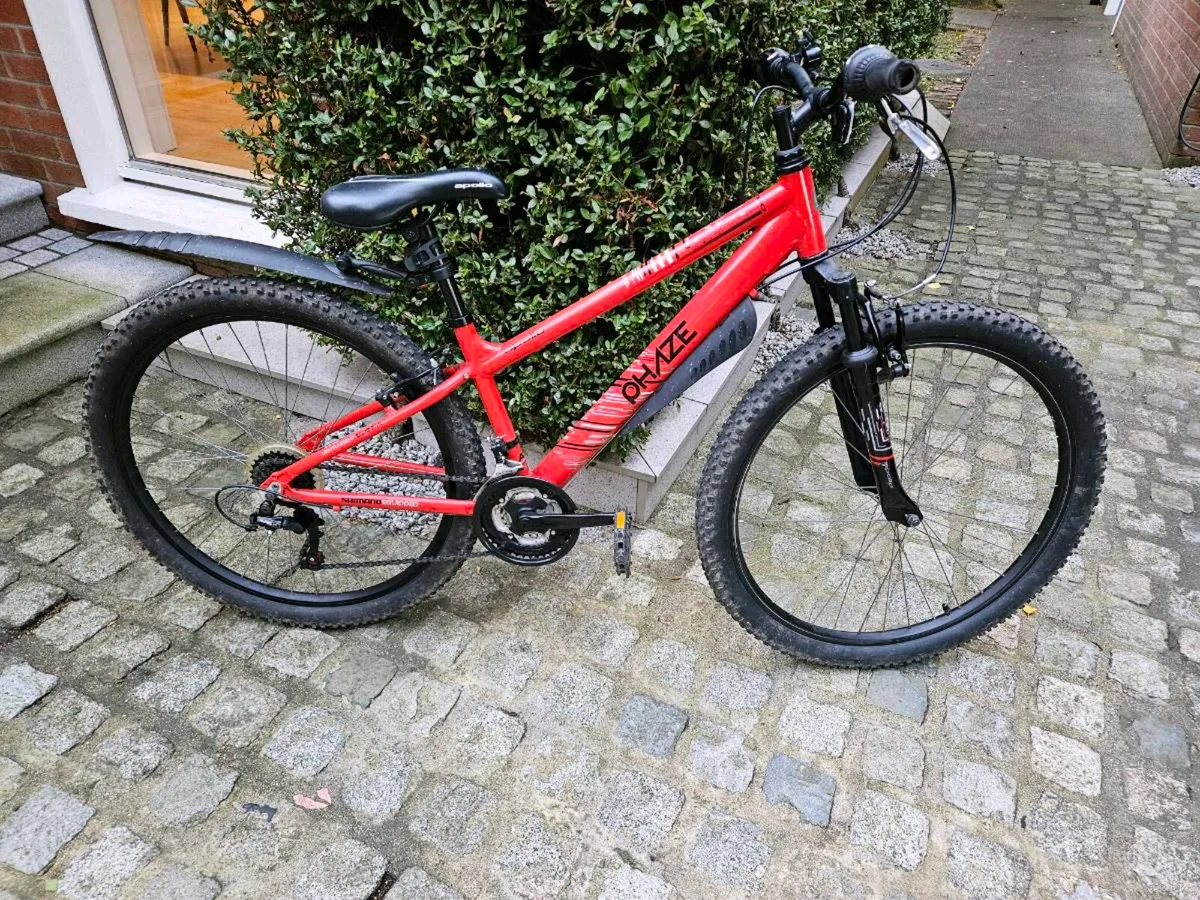 Bicycle - Image 2