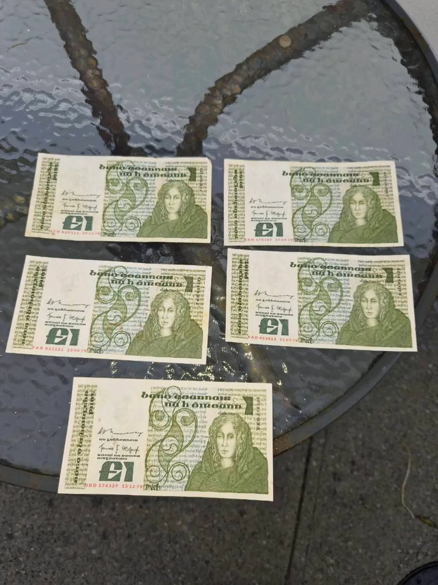 5 old pound noats - Image 1