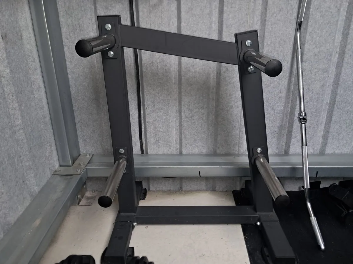 Bumper Plate Storage Rack - Image 2