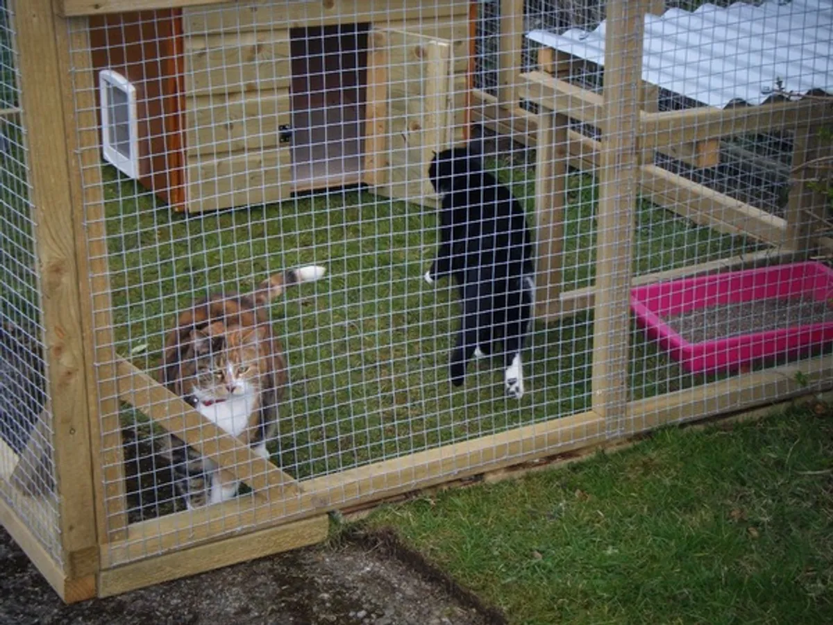 Cat Runs & Cat Houses - Image 3