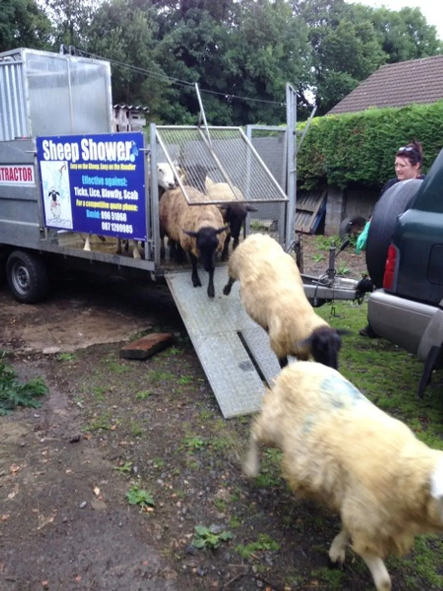 WINTER DIPPING  SHOWER OR  PLUNGE DIPPER FOR HIRE - Image 4