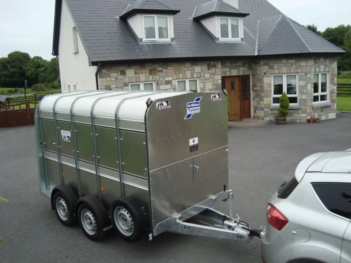 PKS IFOR WILLIAMS 10'X5'10'' TRAILER - Image 2