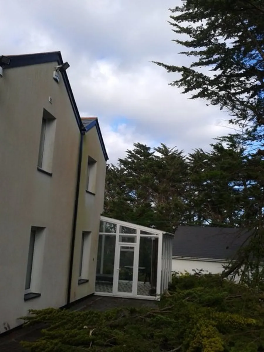 tree down.ie - Image 4