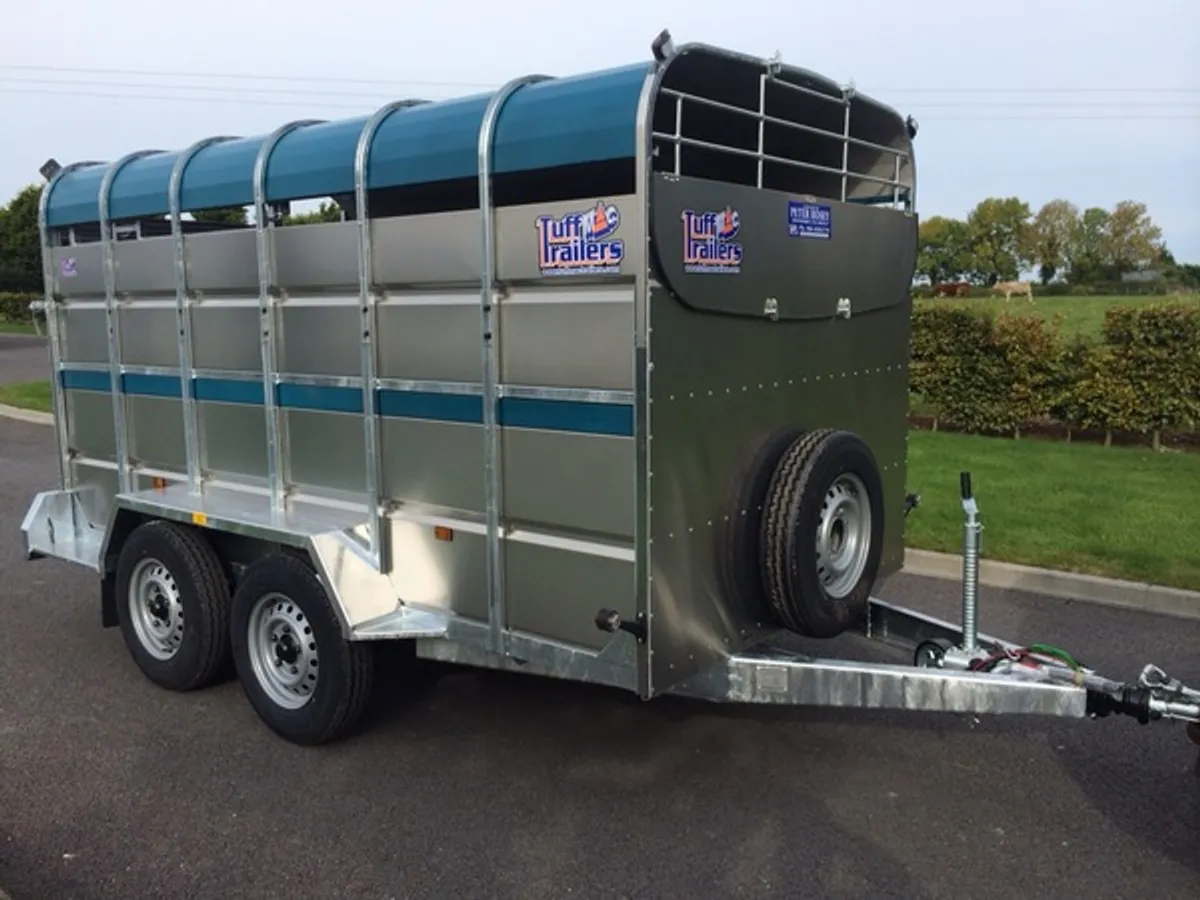 Tuffmac 12ft €23 per week Ifor Williams - Image 4