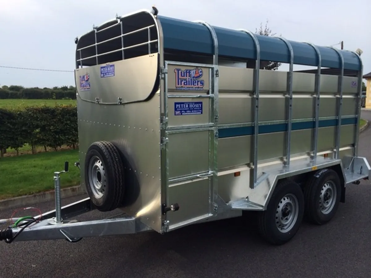 Tuffmac 12ft €23 per week Ifor Williams - Image 3
