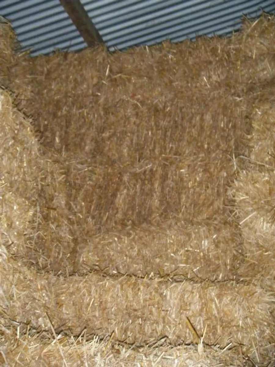 2025 Hay Squares/Round & Haylage,  2025 Straw - Image 3