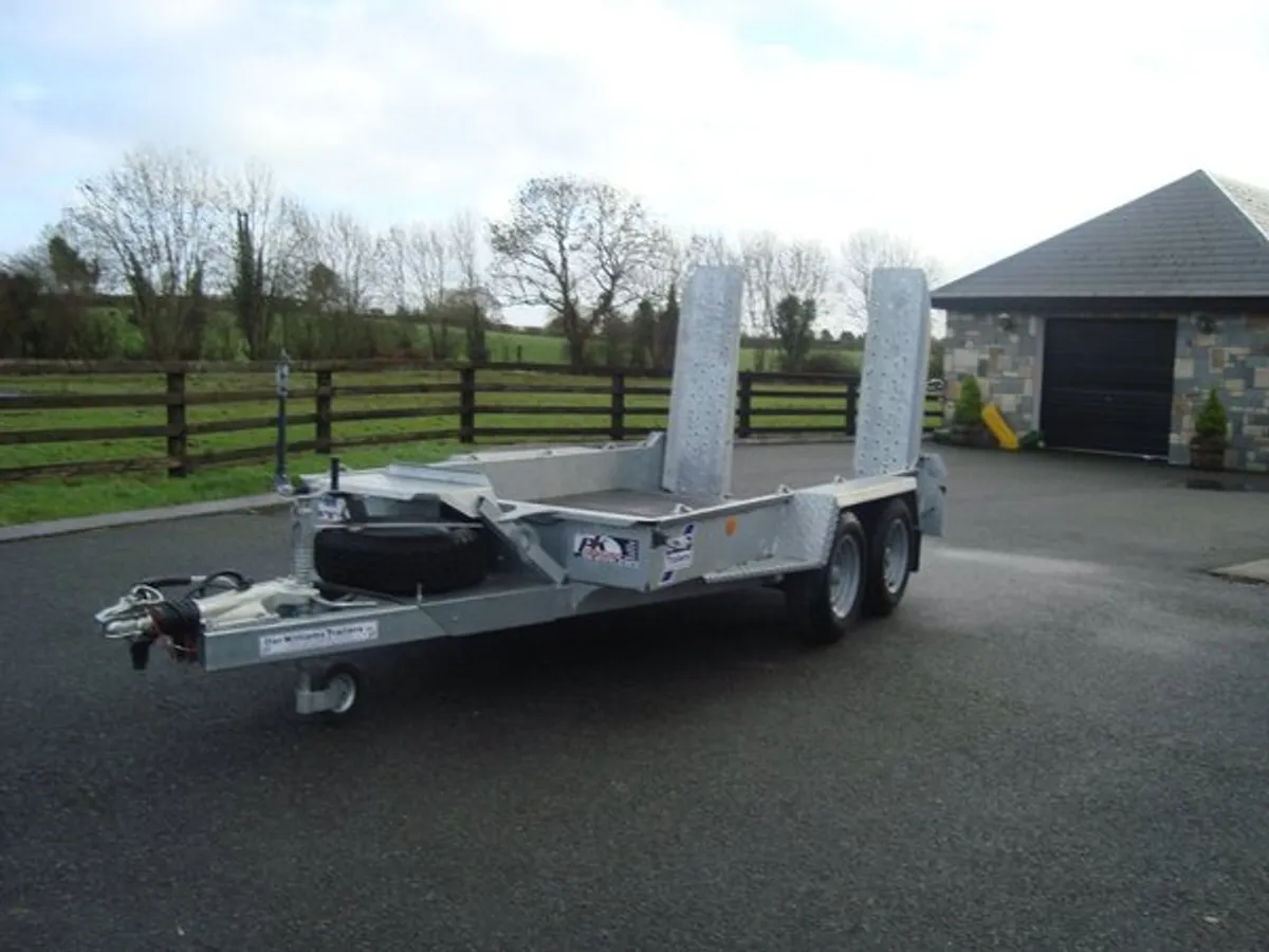 PKS IFOR WILLIAMS 10'x5'4'' PLANT BEAVERTAIL - Image 3