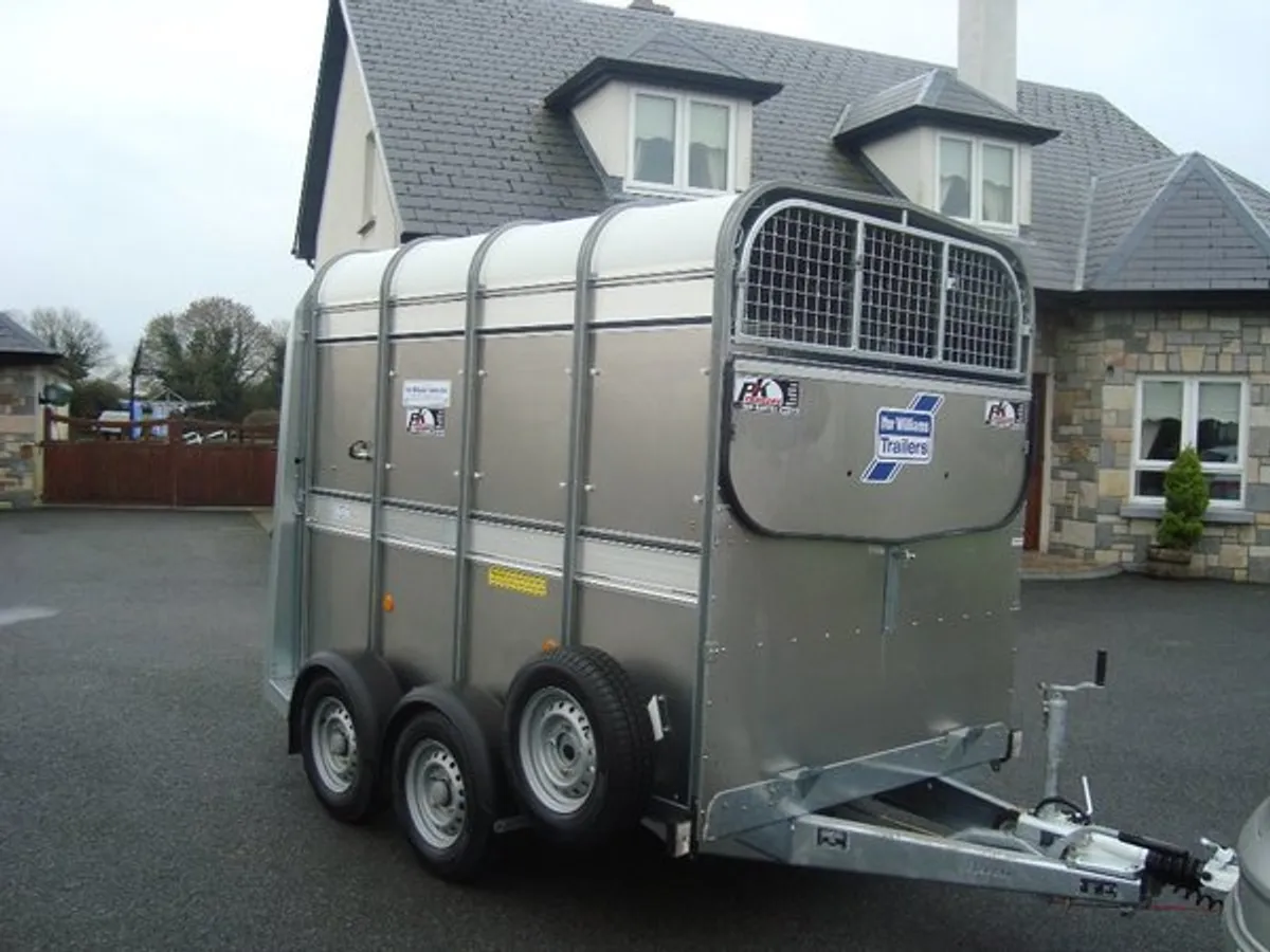PKS IFOR WILLIAMS 8'X5'.LIVESTOCK TRAILER - Image 1