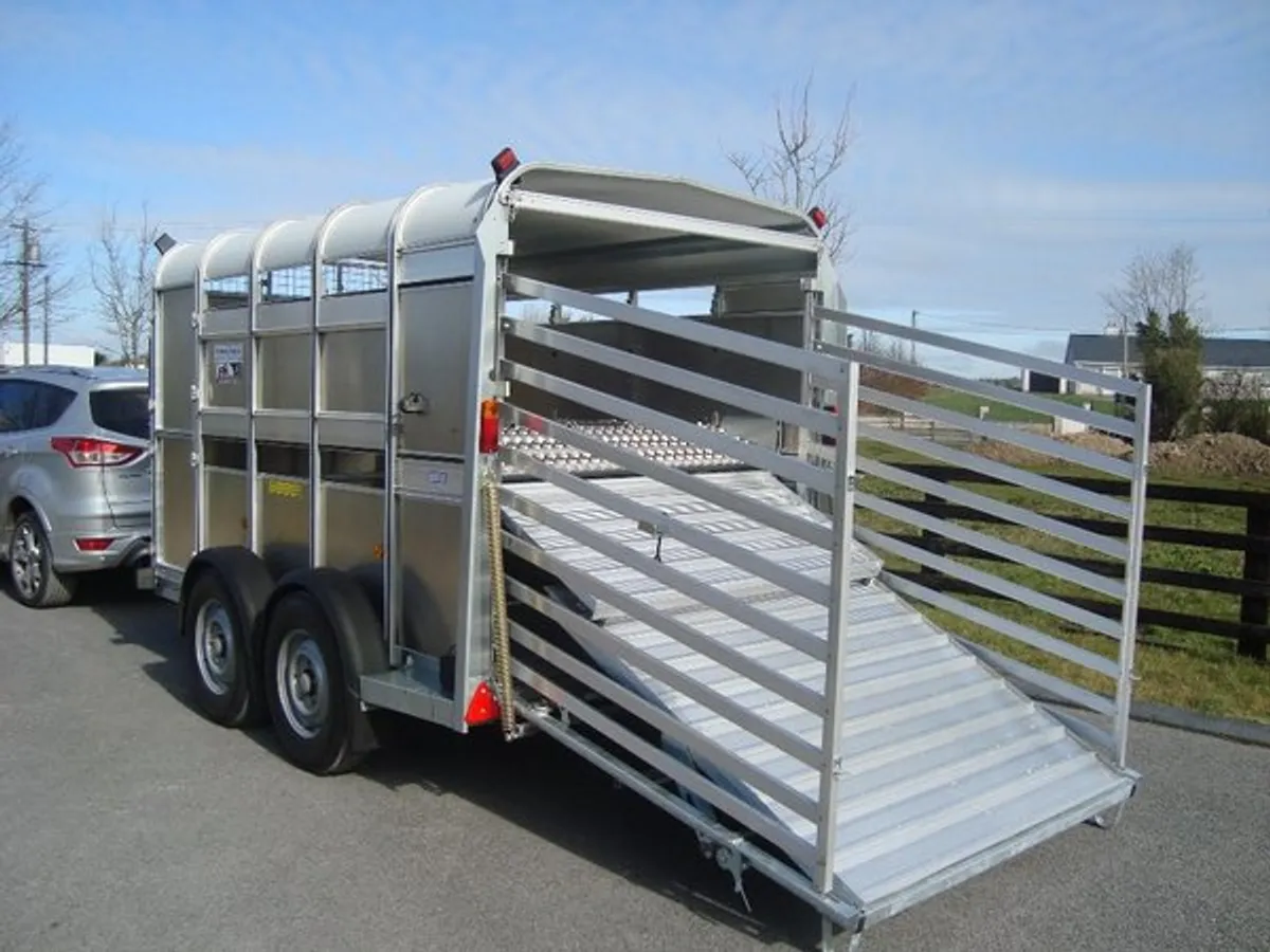 PK'S-IFOR WILLIAMS 10'X5'10'' LIVESTOCK TRAILER - Image 4