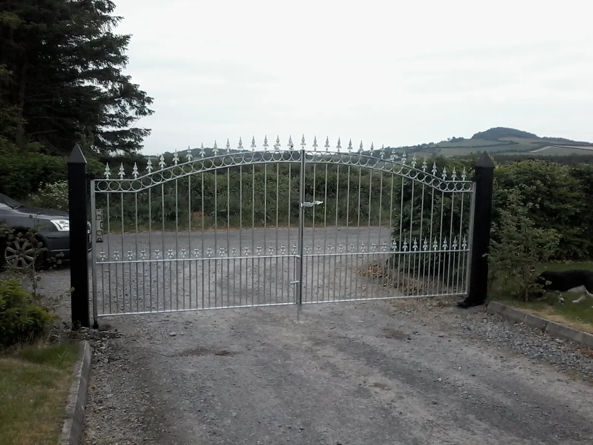 GATES IN KILDARE - Image 2