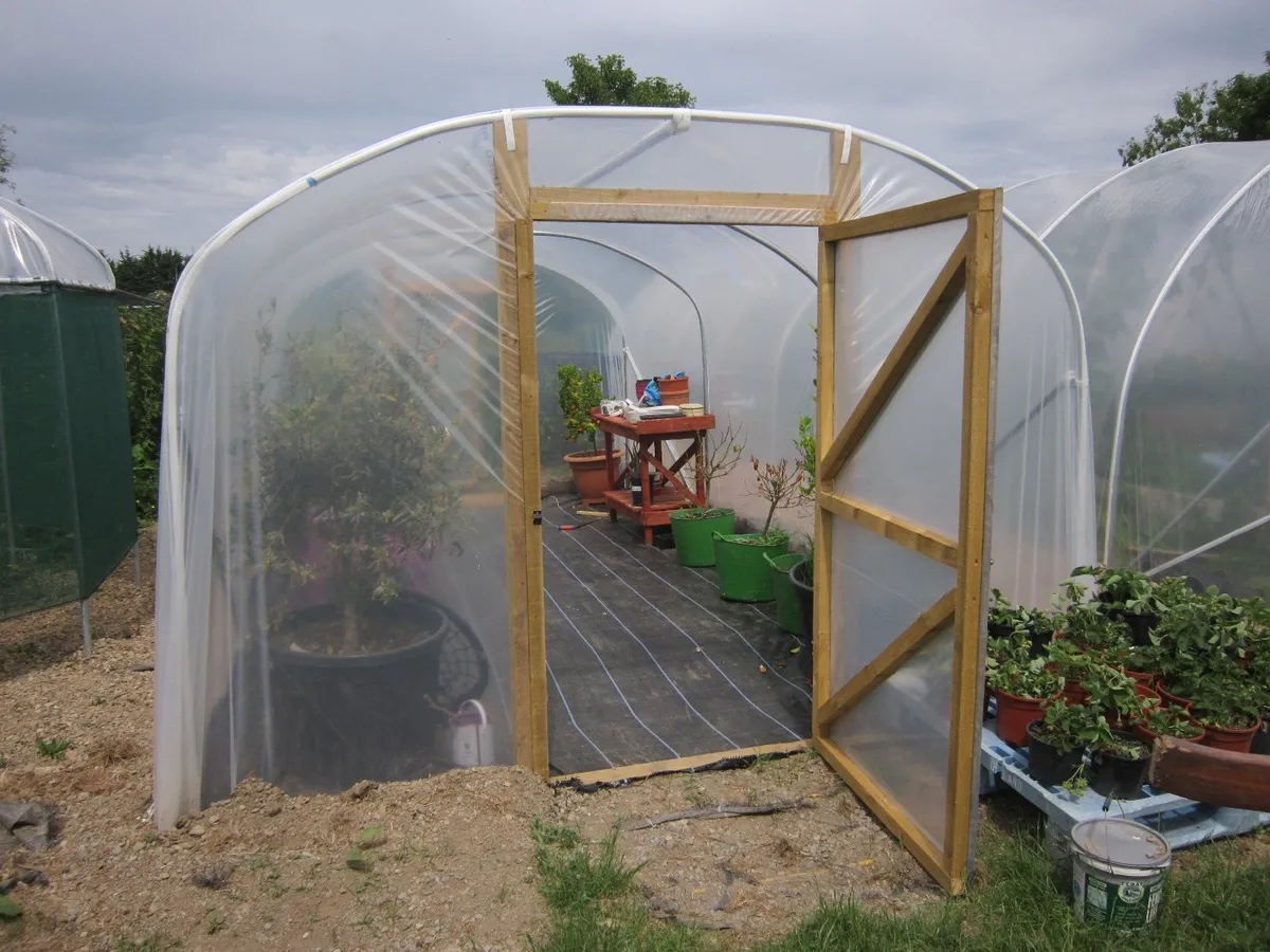 11ft wide  Polytunnel SPECIAL OFFER ON DIGGING - Image 2