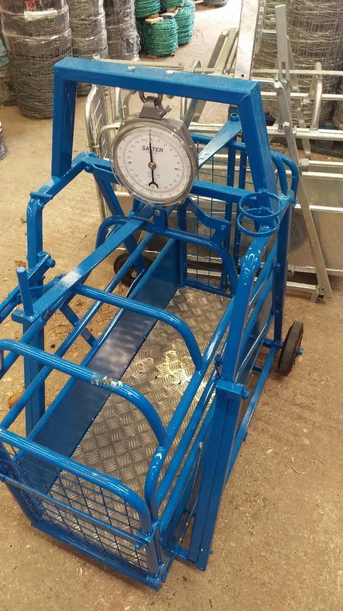 Lamb/Sheep/Pig/Cattle weighbridges/scales .. Leam - Image 4