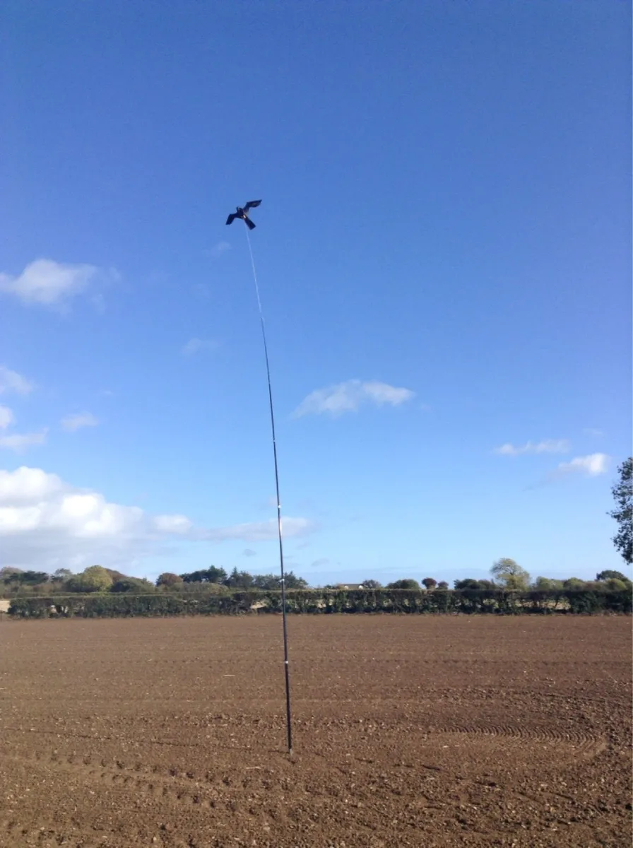 Crows and pigeons destroying your crops????? - Image 1