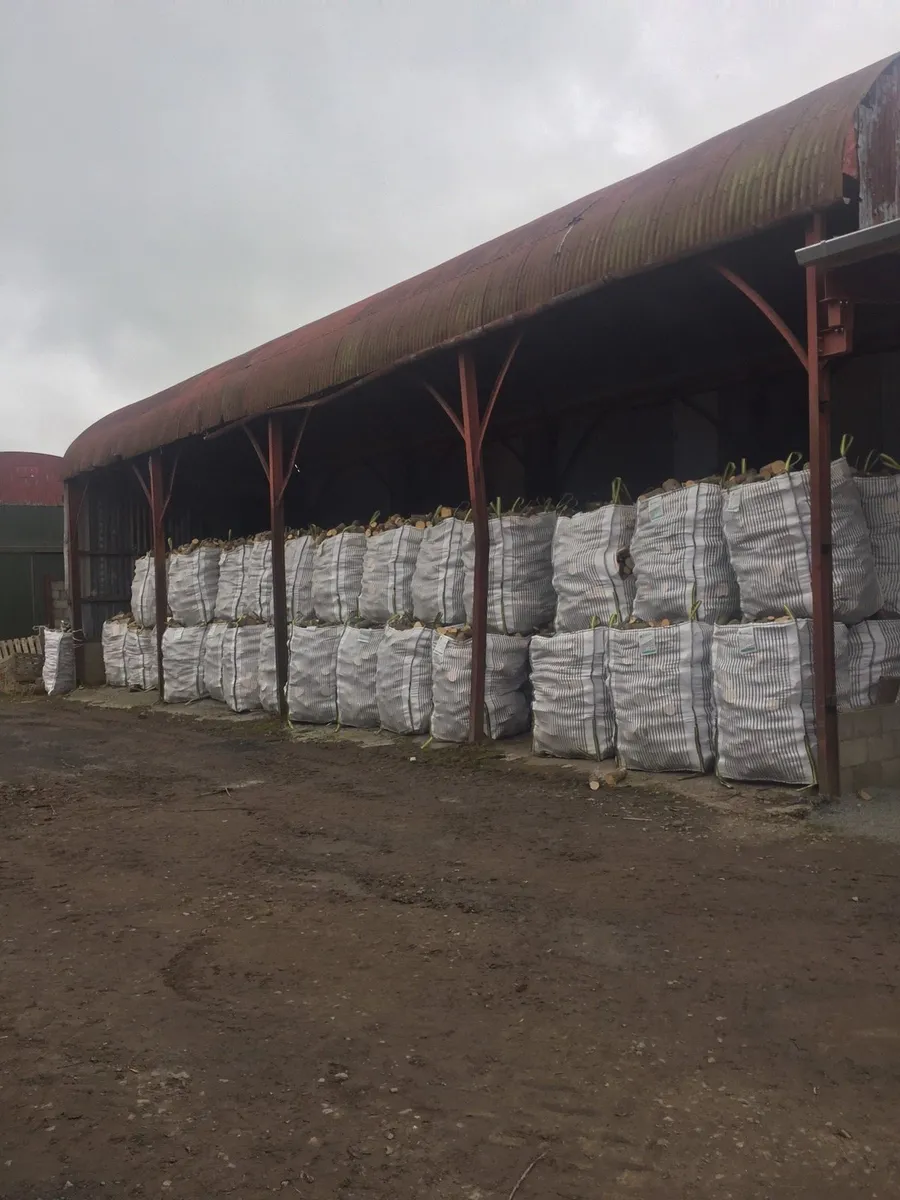 Hardwood Firewood (Ash) Top Quality Firewood - Image 3