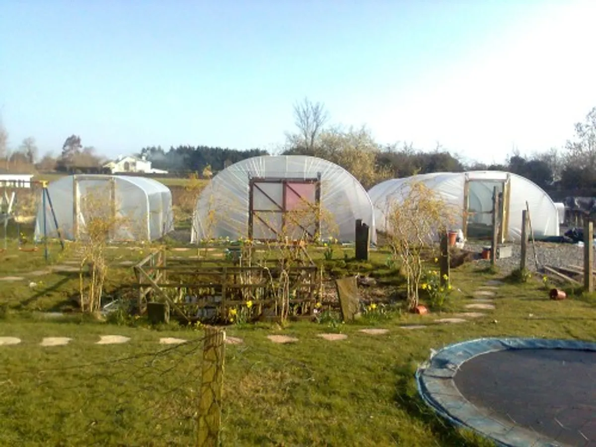 15ft 6in  wide polytunnel SPECIAL OFFER ON DIGGING - Image 2